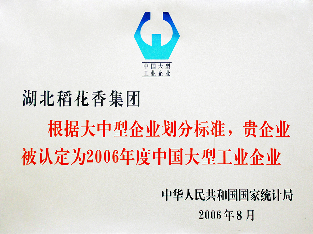 2006年8月，Z6尊龙凯时集团被国家统计局认定为”中国大型工业企业“